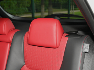 2022350h ȫ F SPORT g