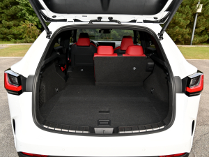 2022350h ȫ F SPORT g