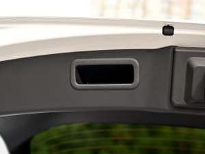 2022350h ȫ F SPORT g