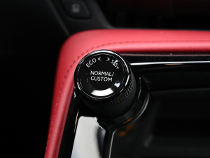 2022350h ȫ(q) F SPORT п؅^(q)