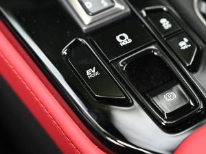 2022350h ȫ(q) F SPORT п؅^(q)