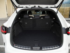 2022260 ǰ(q) (chung) g