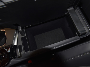 2022260 ǰ(q) (chung) g