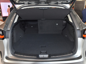 2022260 ǰ(q) (chung) g