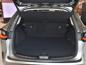 2022260 ǰ(q) (chung) g