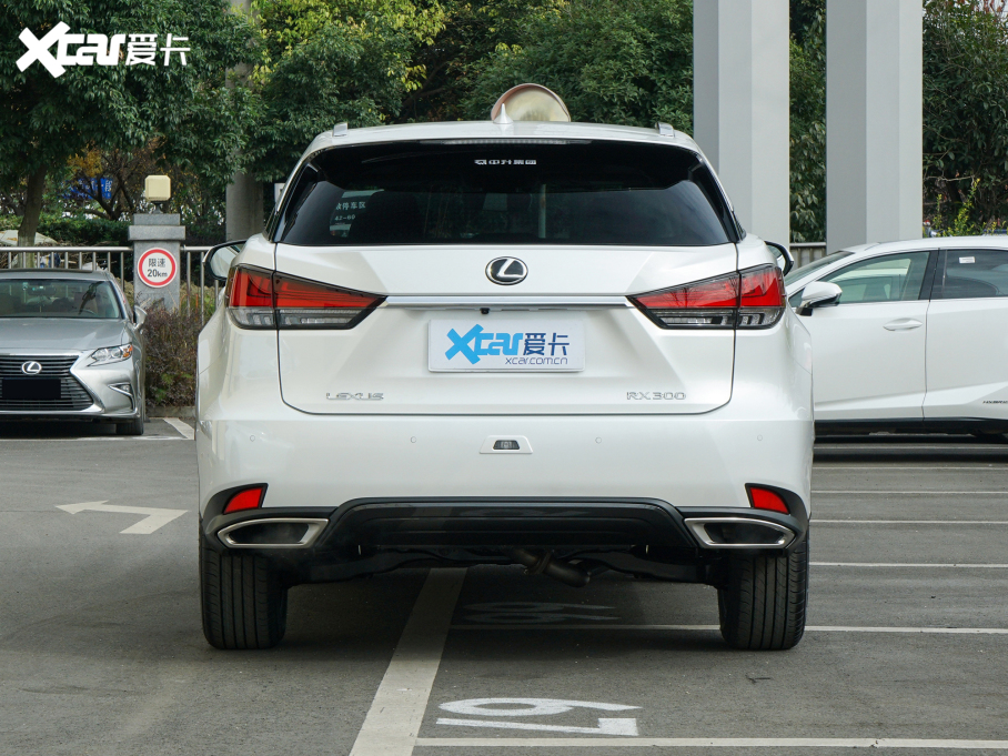 2021׿_˹RX 300 (q)؄e