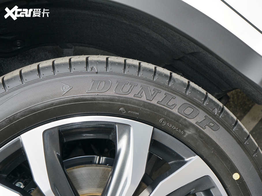 2021׿_˹RX 300 (q)؄e