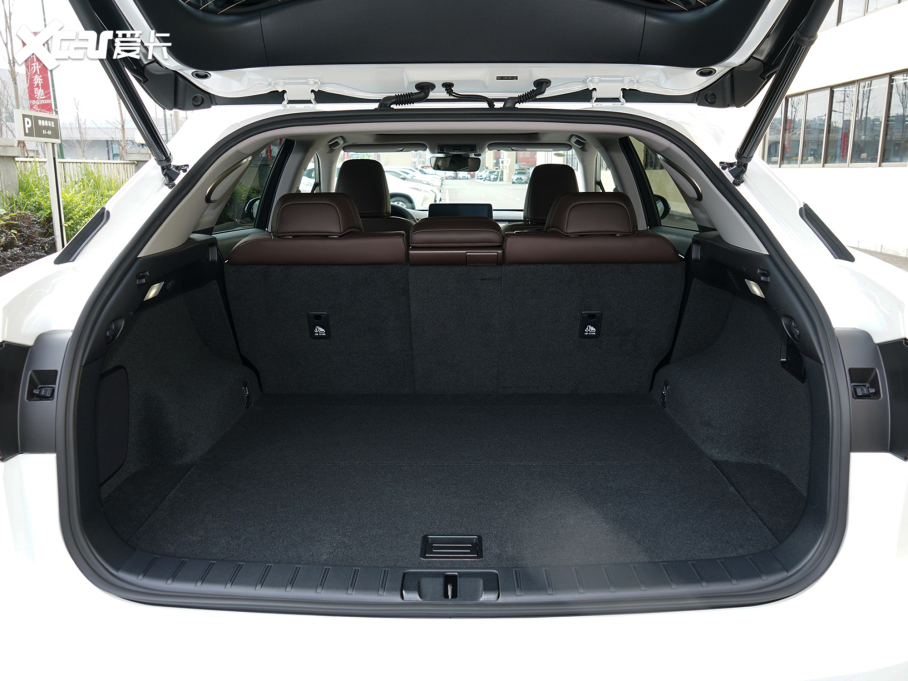 2021׿_˹RX 300 (q)؄e