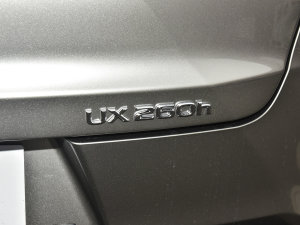 2022260h ̽ (x)(ji)^