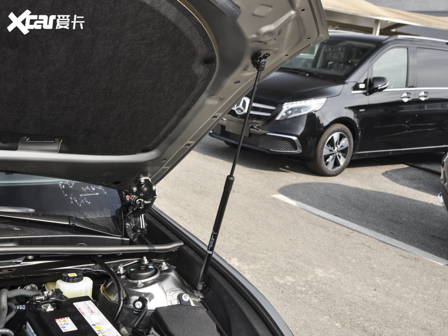 2022׿_˹ES 260 ׿Խ