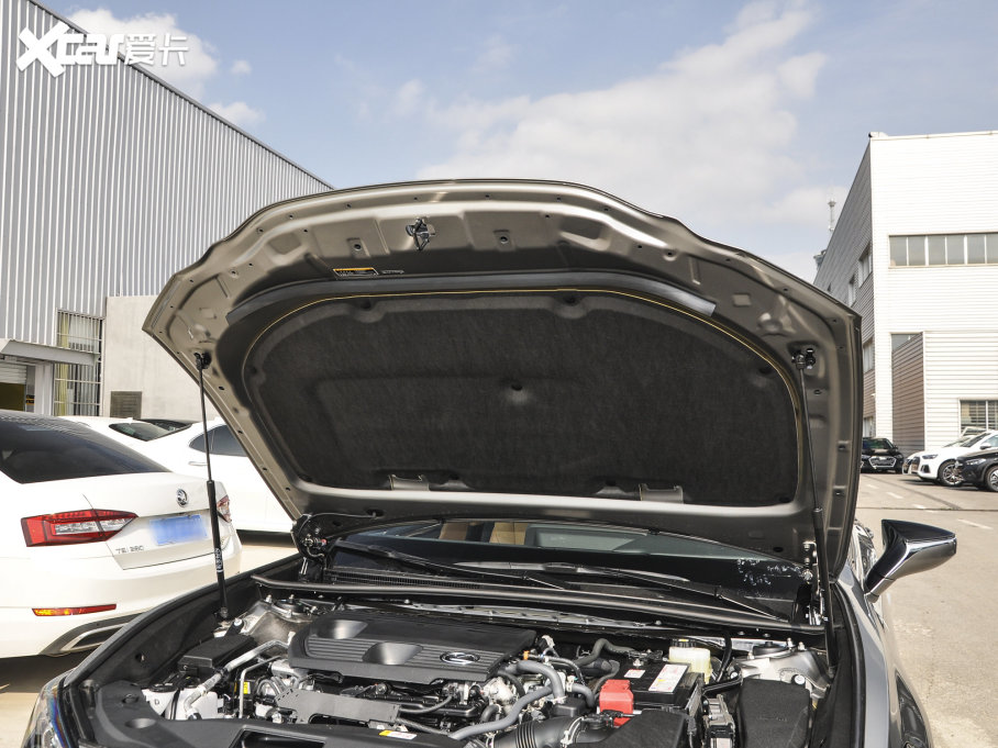 2022׿_˹ES 260 ׿Խ