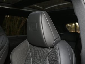 2023500h F SPORT Performance g