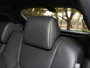 2023500h F SPORT Performance g