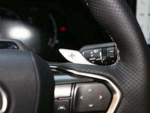 2023500h F SPORT Performance п؅^