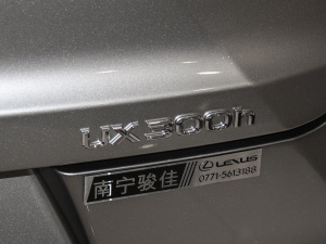 2024300h ̽ (x)(ji)^