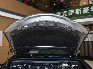 2024款300h 探酷版 其它