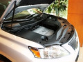 2009���׿���˹RX����