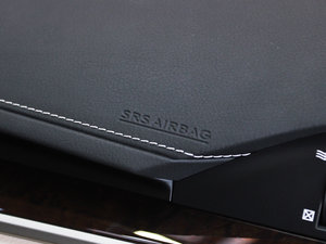 2013250 Mark Levinson g