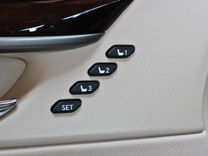 2013250 Mark Levinson g