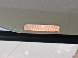 2013250 Mark Levinson g