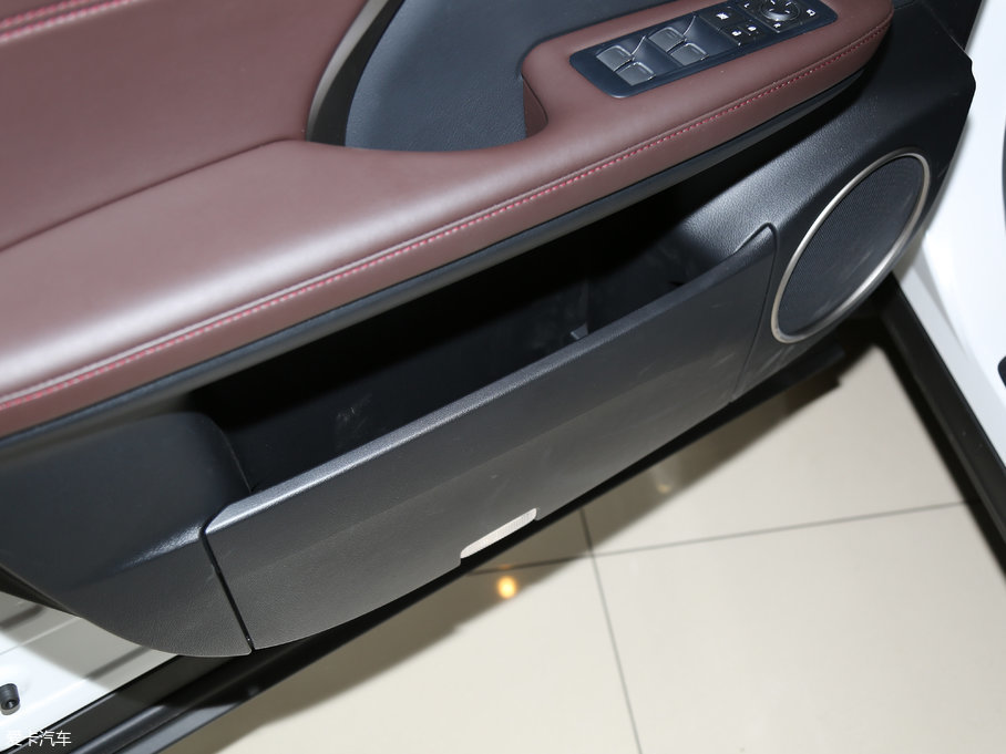 2016׿_˹RX 300 (q)A V