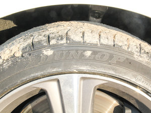 2016F SPORTO° ݆̥Ʒ