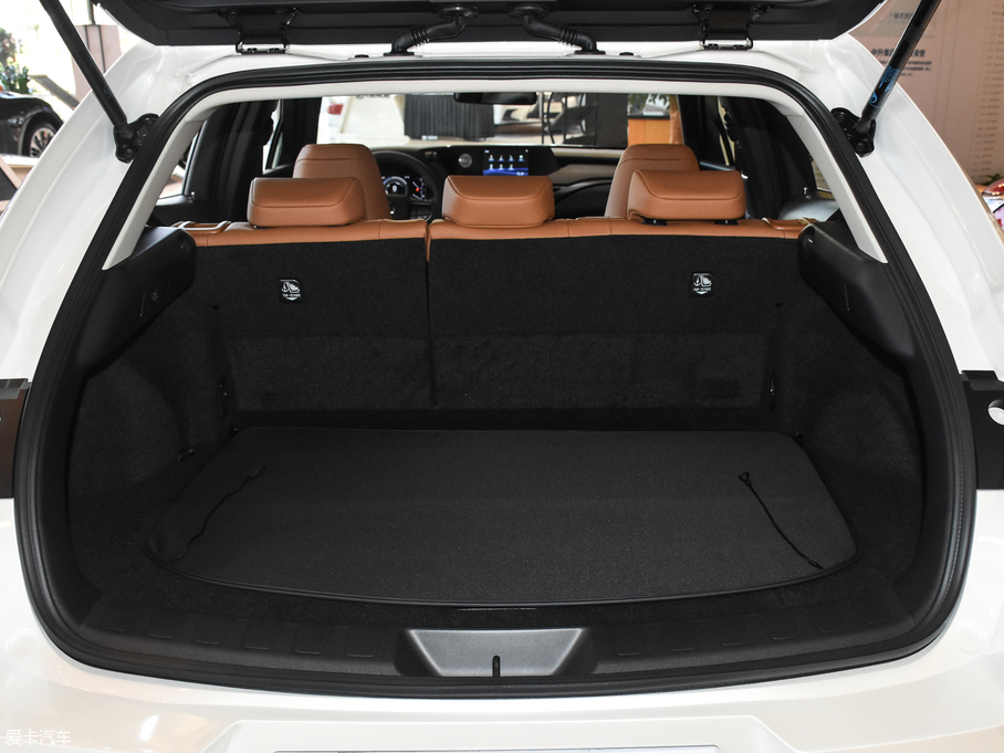 2019׿_˹UX 260h ̽ (gu)V