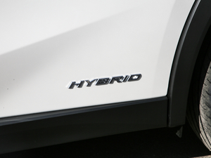 2019260h ̽ (gu)V (x)(ji)^(gun)