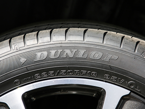 2019260h ̽ V ݆̥Ʒ