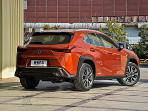 2019260h F SPORTȫ VI 