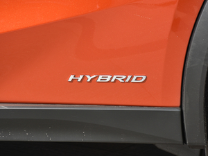 2019260h F SPORTȫ VI ^