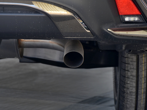 2019260h F SPORTȫ VI β