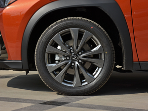 2019260h F SPORTȫ VI ݆Ȧ