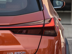 2019260h F SPORTȫ VI β