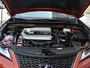 2019260h F SPORTȫ VI lәC