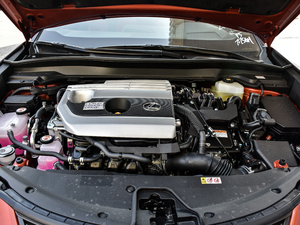 2019260h F SPORTȫ VI 