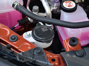 2019260h F SPORTȫ VI 