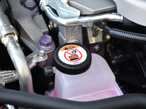 2019260h F SPORTȫ VI 