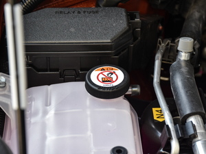 2019260h F SPORTȫ VI 