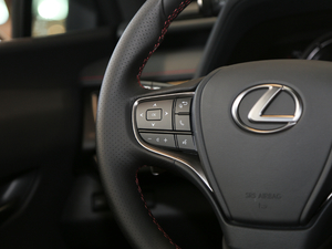 2019260h F SPORT VI {