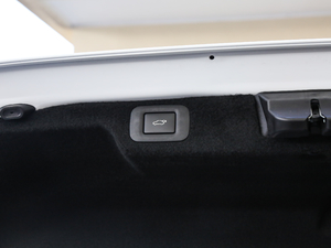 2018500h F Sport V g