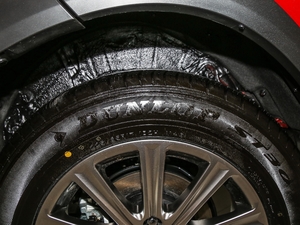 2017200 hа ȫ ݆̥Ʒ