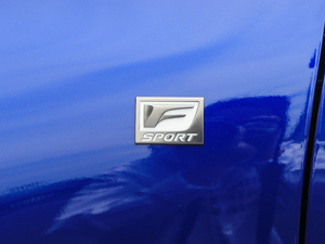 2017300 F SPORT (x)(ji)^