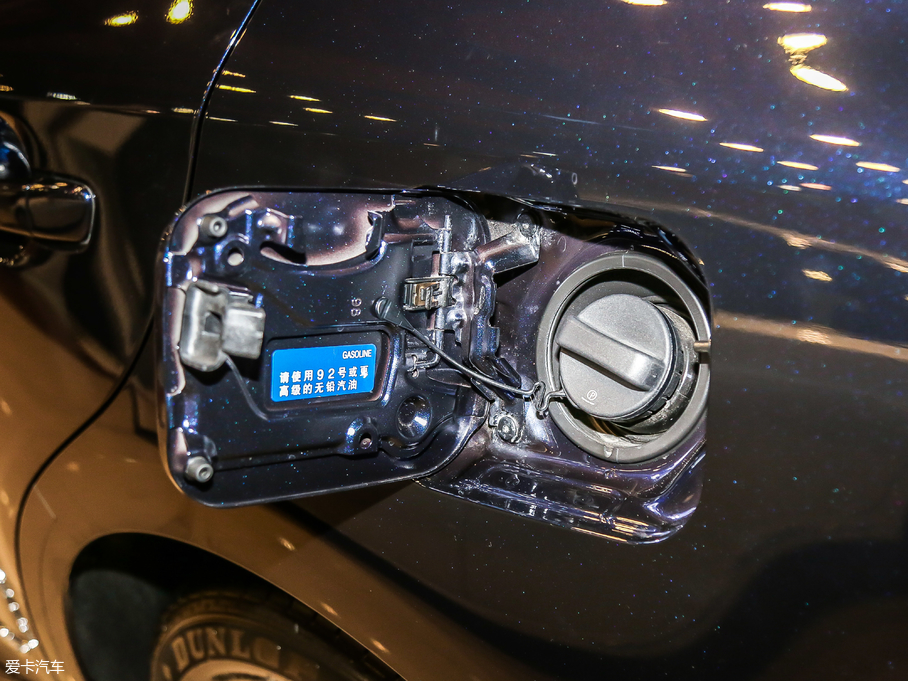 2017׿_˹ES 300h Mark LevinsonA