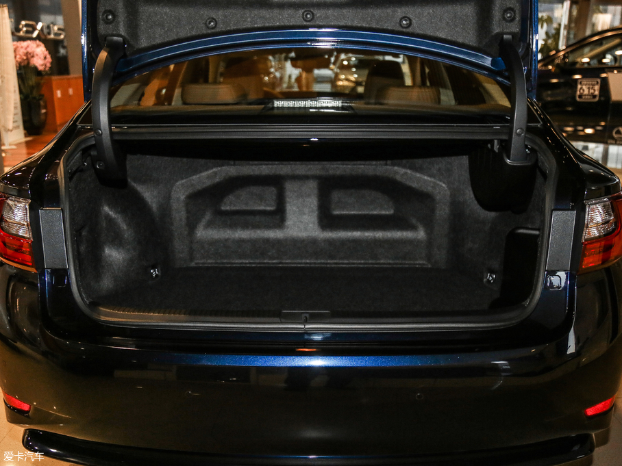 2017׿_˹ES 300h Mark LevinsonA