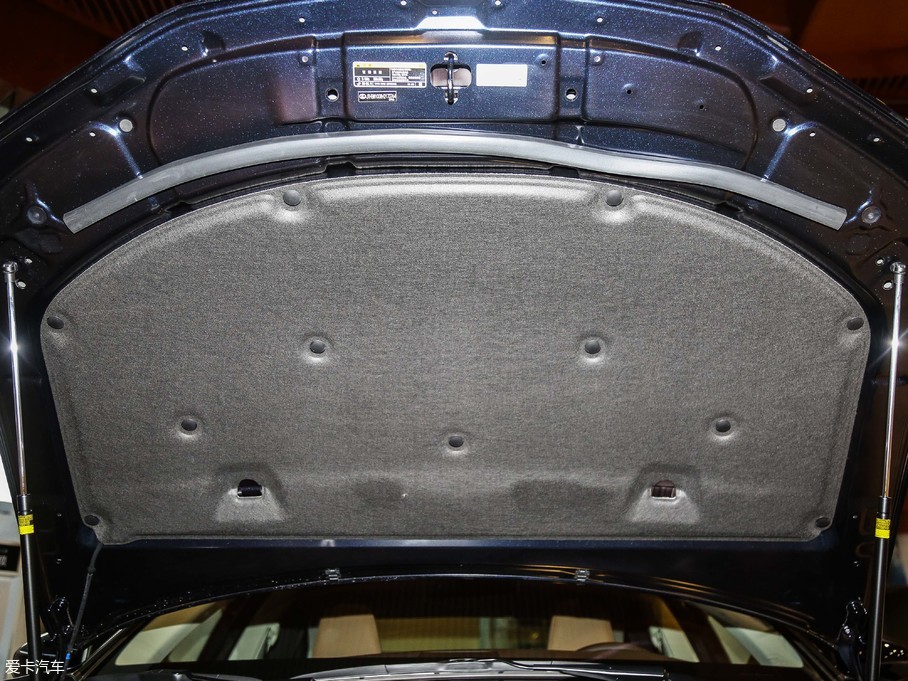 2017׿_˹ES 300h Mark LevinsonA