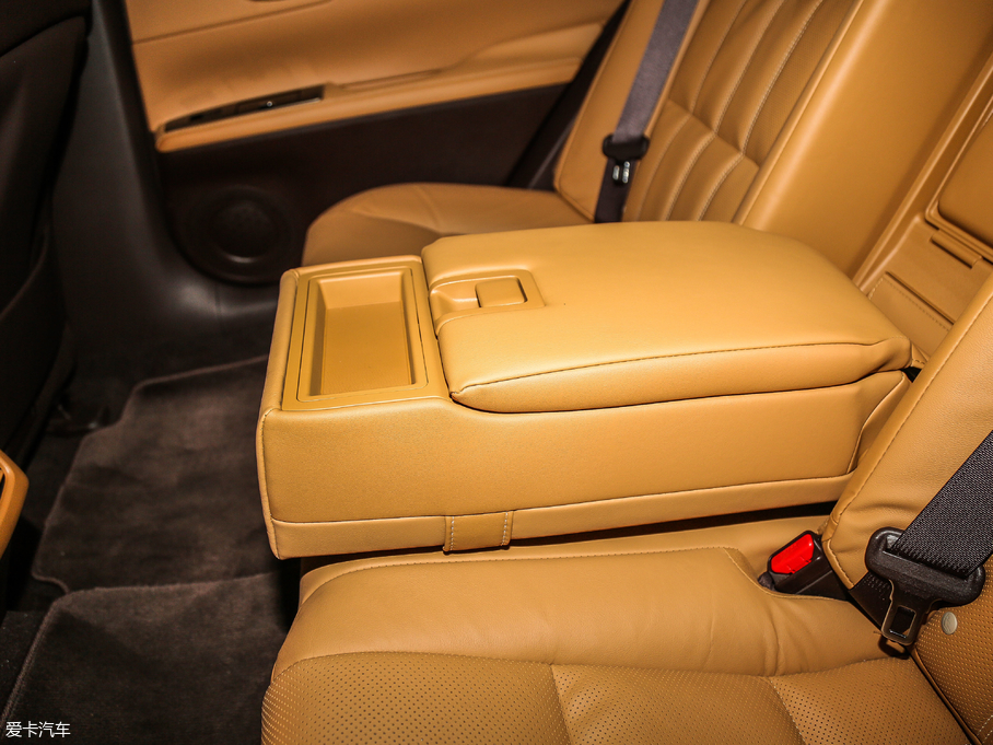 2017׿_˹ES 250 Mark LevinsonA