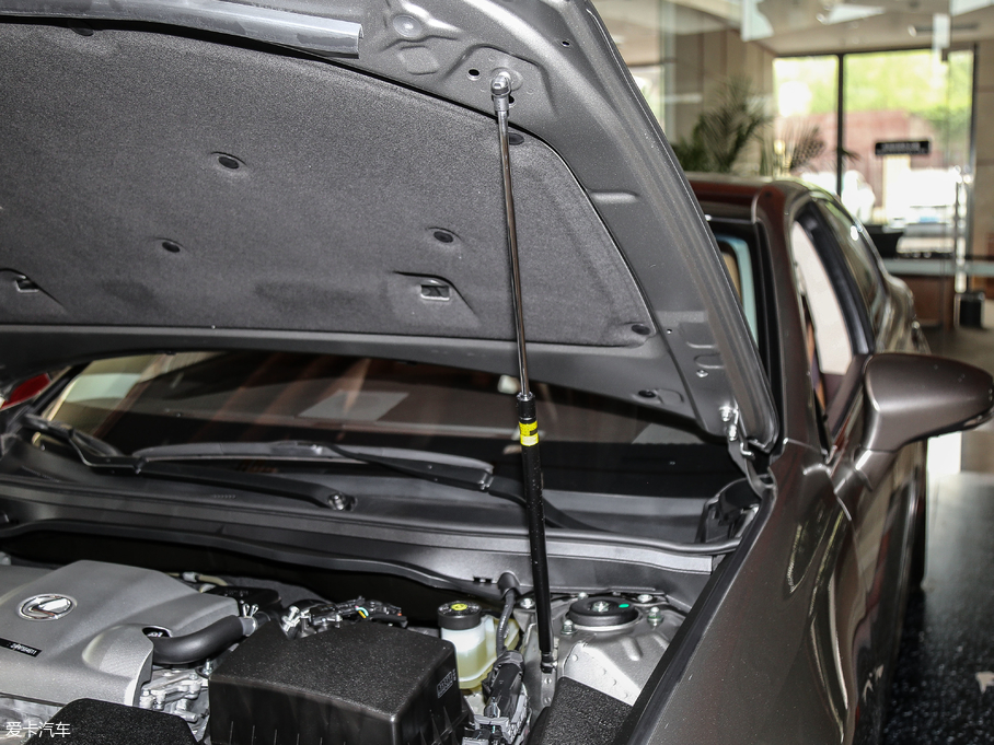 2017׿_˹ES 250 Mark LevinsonA