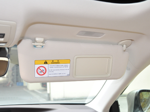 2017300h Mark Levinsonm g