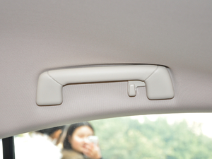 2017300h Mark Levinsonm g